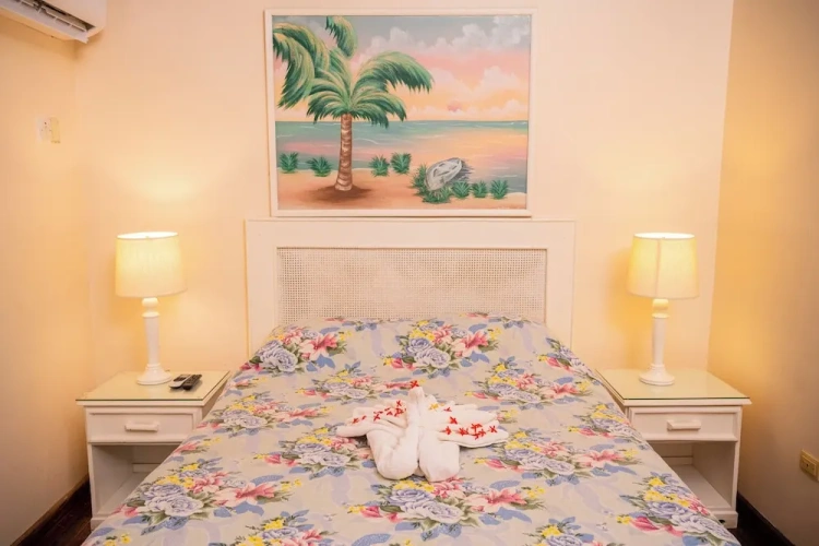 Classic Single room with balcony and with sea view