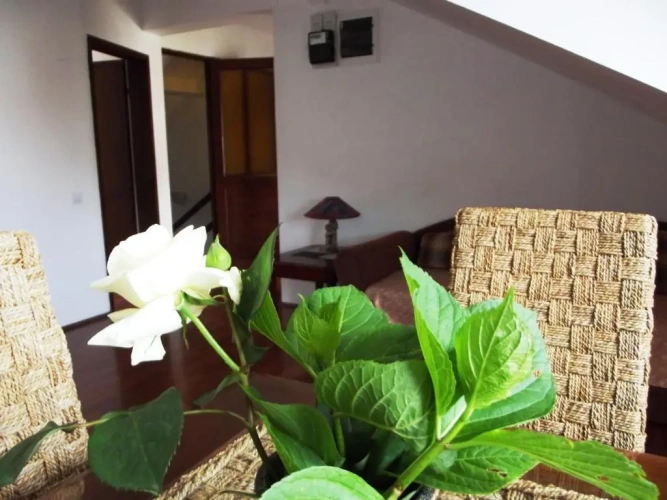 2 Bedrooms Comfort Double Apartment with balcony
