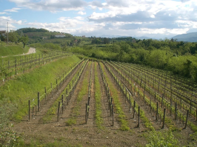Agriturismo Colutta