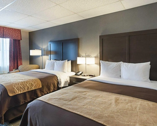 Standard Double room