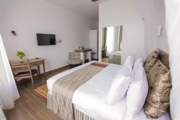 Executive Single room with garden view