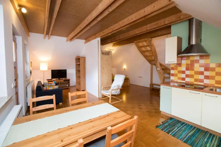Apartment Janko Rožič