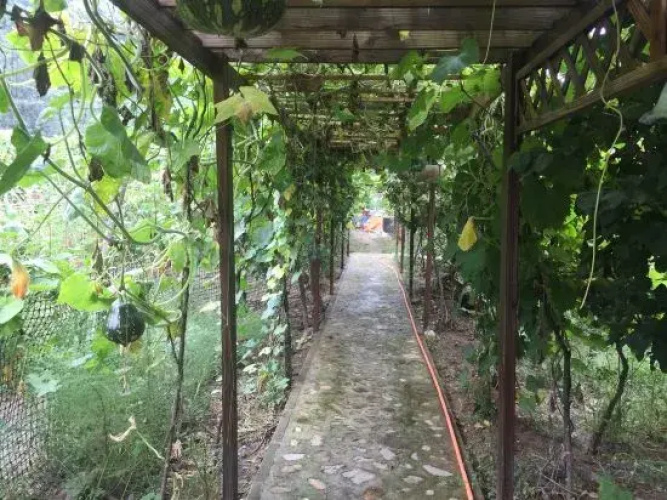 Beijing Fanlin Ecological Homestay