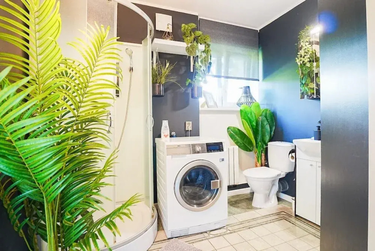 Cofy Rentals Tallinn
