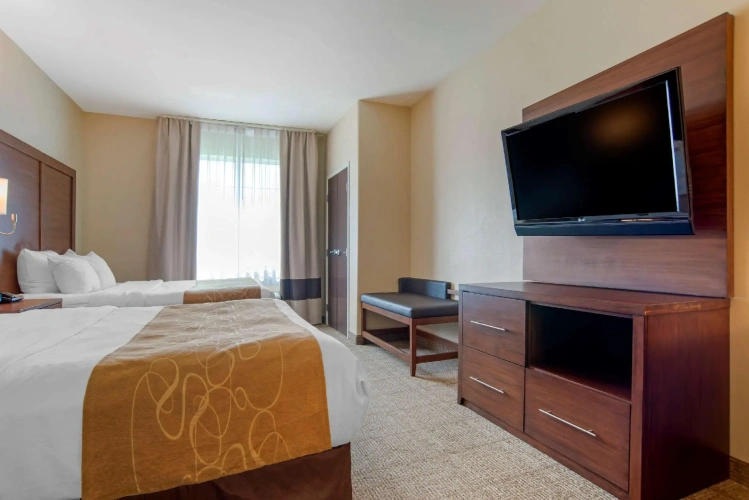Quadruple Suite