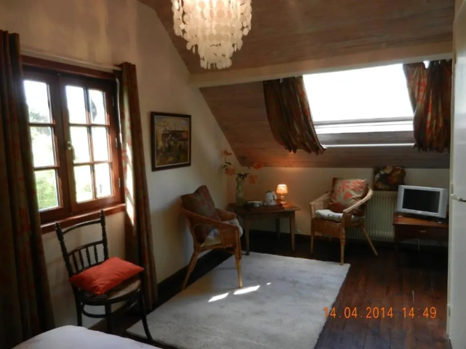 Standard Double room with garden view