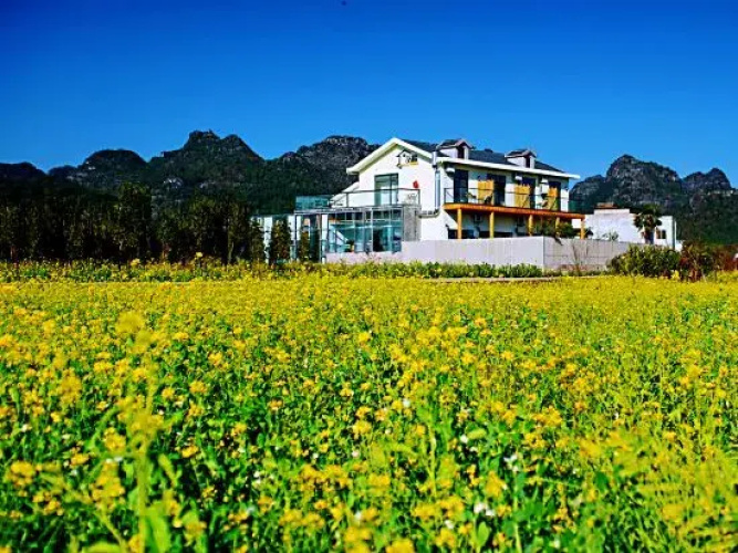 Xingyi Pinfengmingshuwanfeng