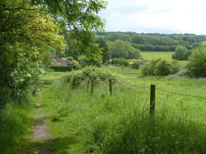 Mendip Cottage