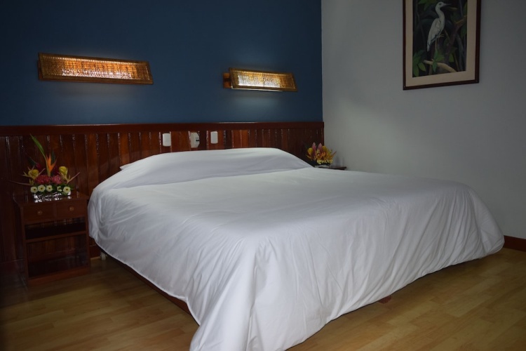 Superior Double room with garden view