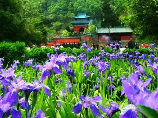 Yishanju Smart Hotel
