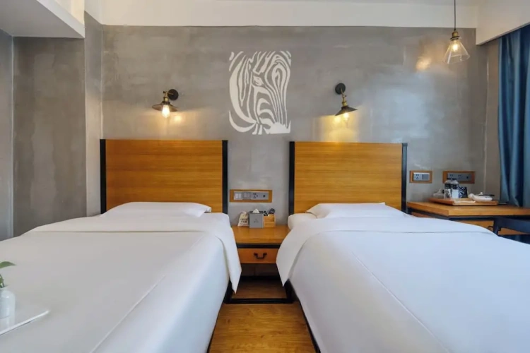 Superior Twin room with city view