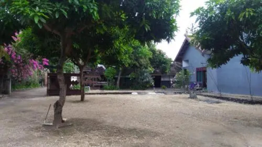 Hotel Kiwi