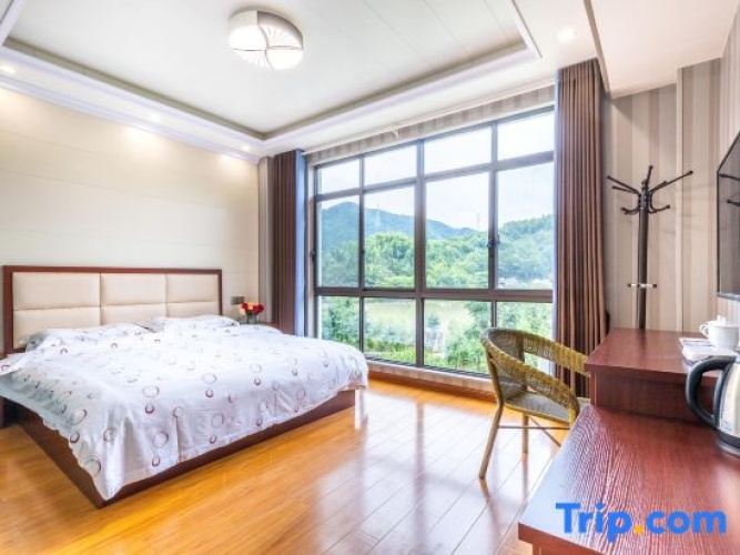 Standard Double room with lake view