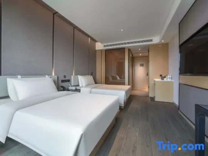 Standard Twin room with city view