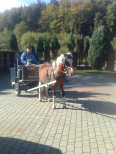 Gosciniec Wenecja