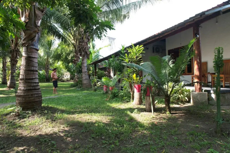 Coconut homstay