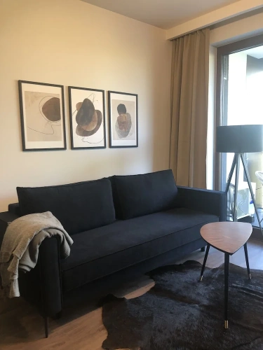 Luxury Apartment