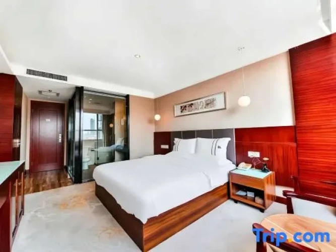 Executive Single room