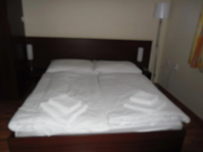 Hotel Arli