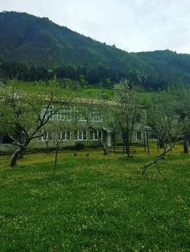 Sopio Guesthouse