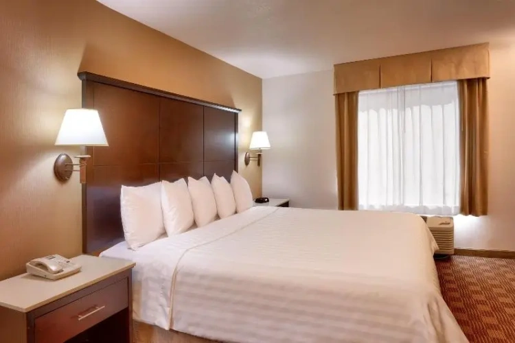 1 Bedroom Double Suite