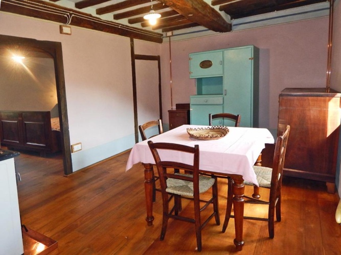 Basement Apartment with view