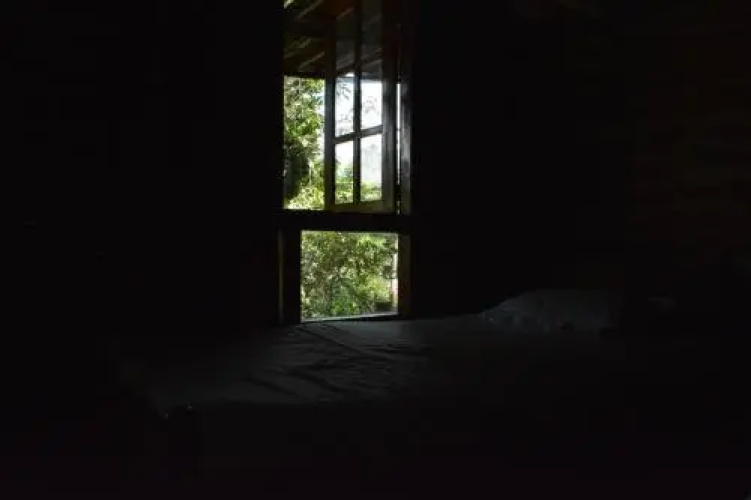 Little Folly