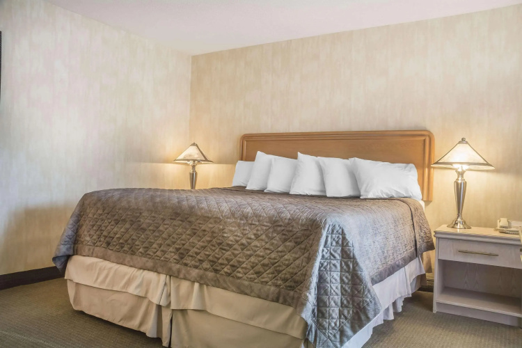 Rodeway Inn Fallsview