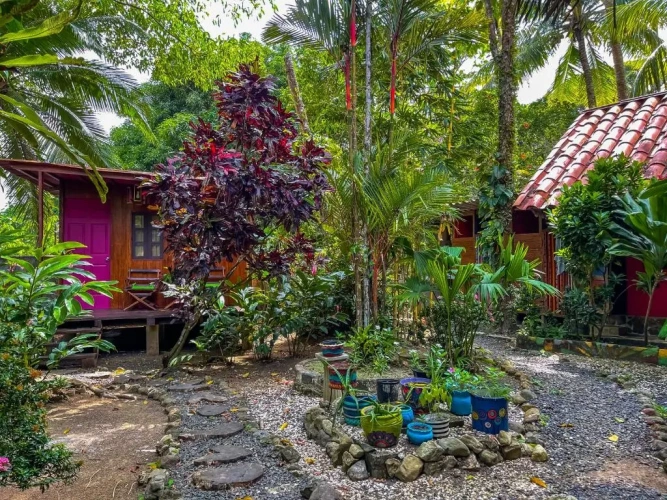 Standard Double room with garden view