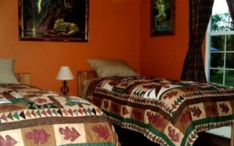 Blonde Bear Bed & Breakfast