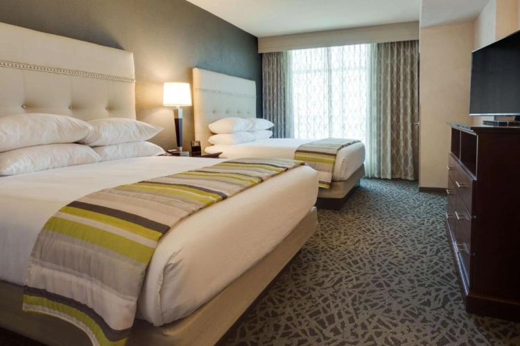 Superior Double Suite