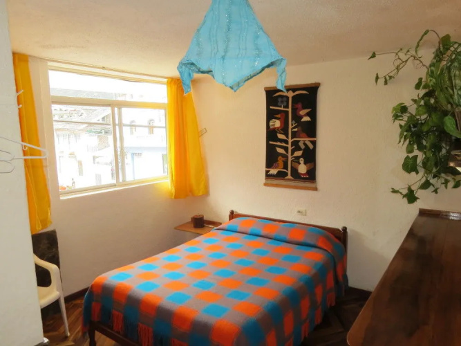 Hostal Plantas Y Blanco