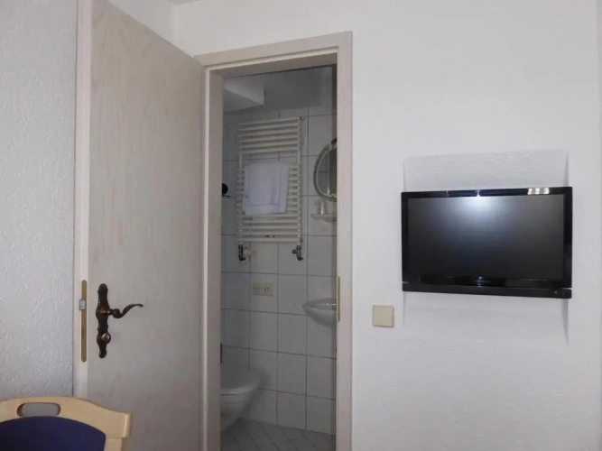 Standard Double room with balcony and with view