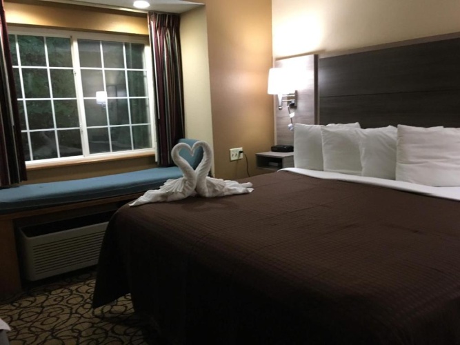 Standard room
