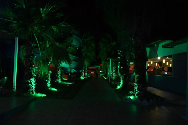 The Prime Garden