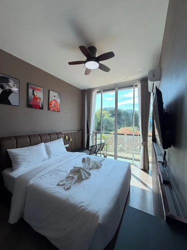 Deluxe Single room with balcony and with mountain view