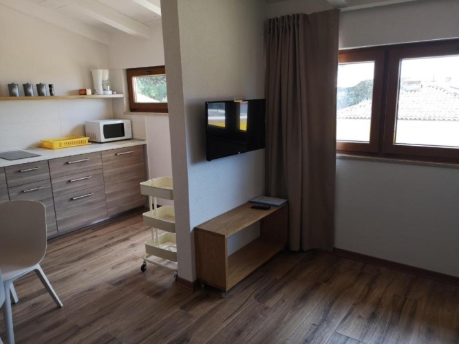 Basement Apartment with view
