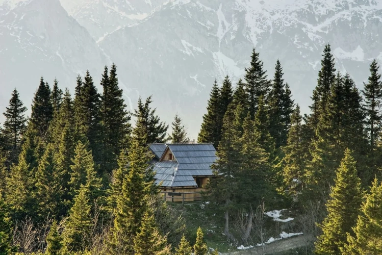Luxury Chalet