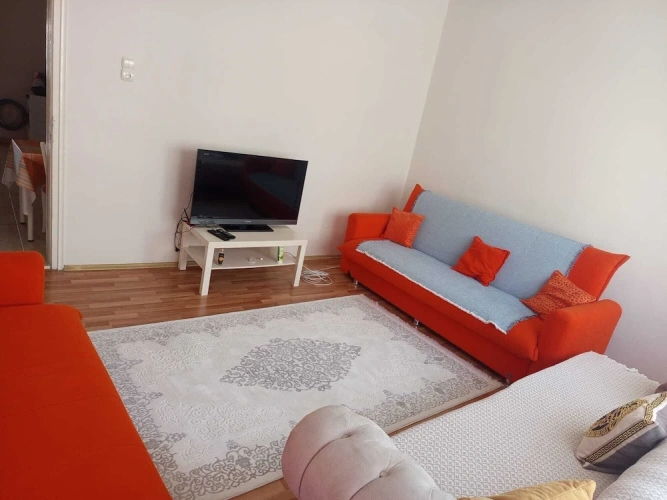 Classic Apartment