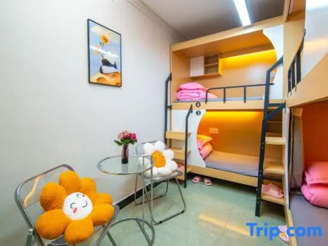 Bed in Dorm