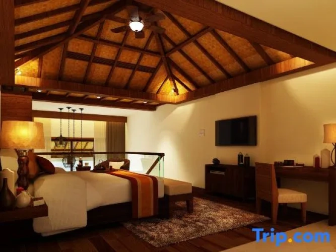 Deluxe Duplex room