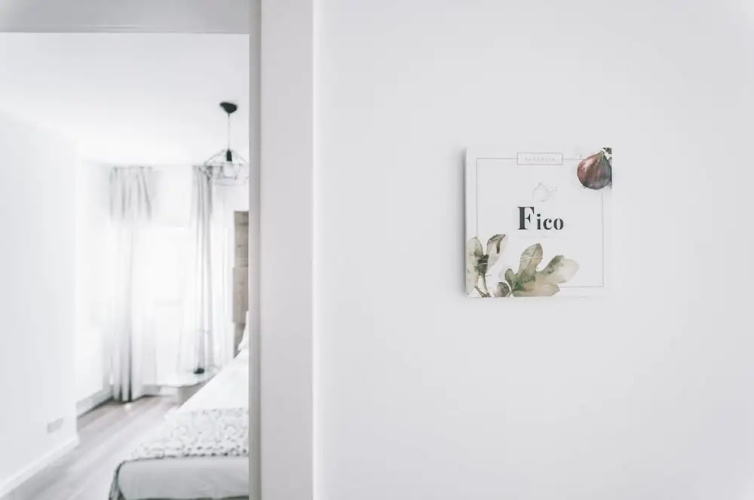 Vandelia BB