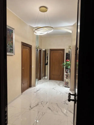 Suite 41
