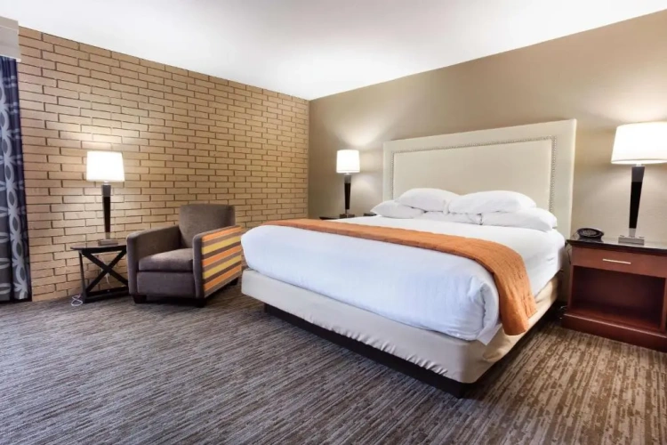 Superior Double Suite