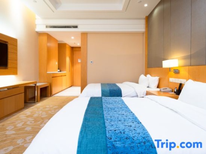 Deluxe Twin room with city view