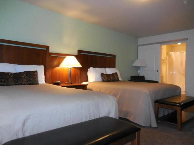 Quadruple Suite