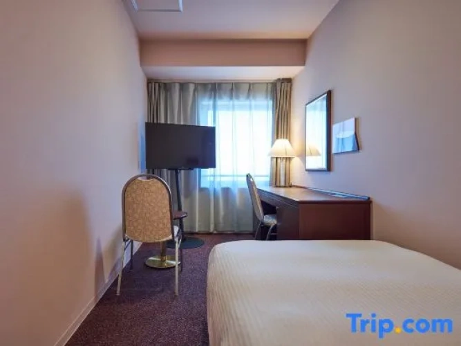 Classic Single room