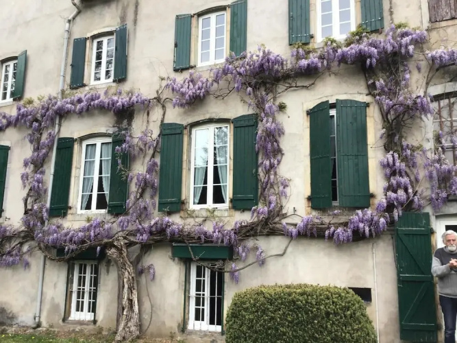 Maison Laclède