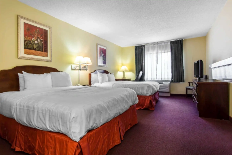 Double Suite