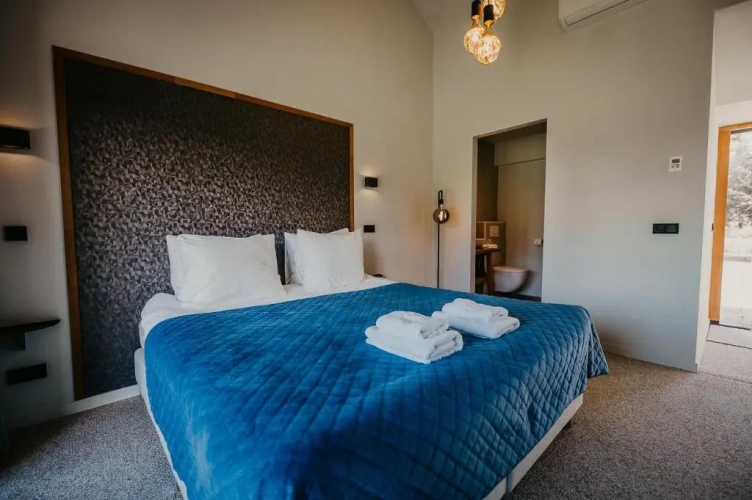 Standard Double room with garden view